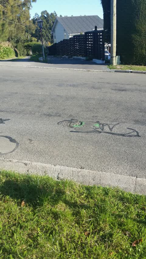 Roading/Streets, a report photo