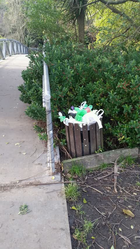 Rubbish/Recycling — a report photo