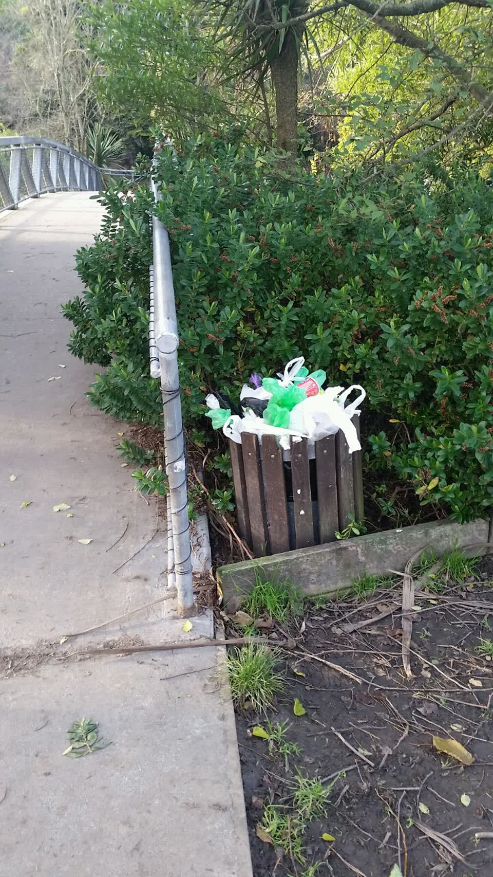 The photograph attached to this rubbish/recycling report