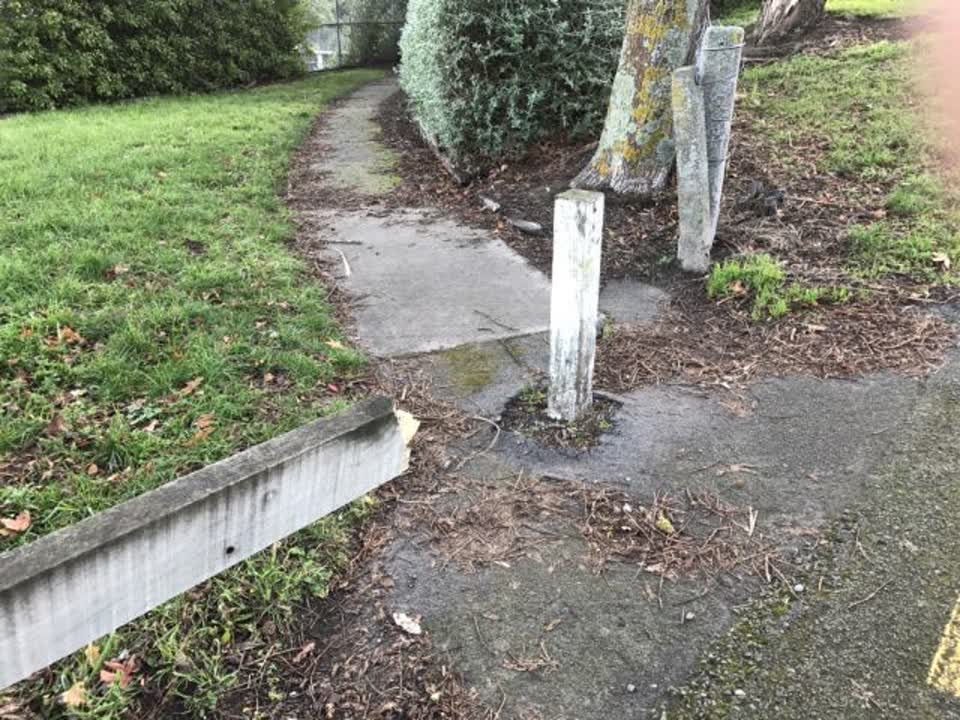 The photograph attached to this parks report