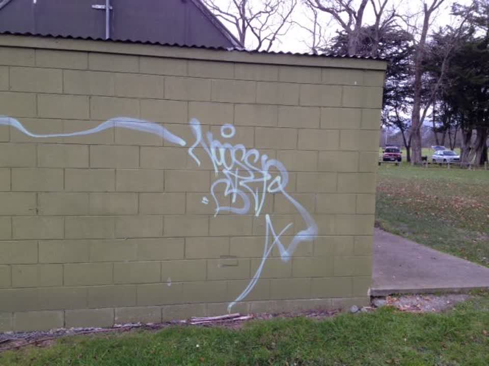 The photograph attached to this graffiti report