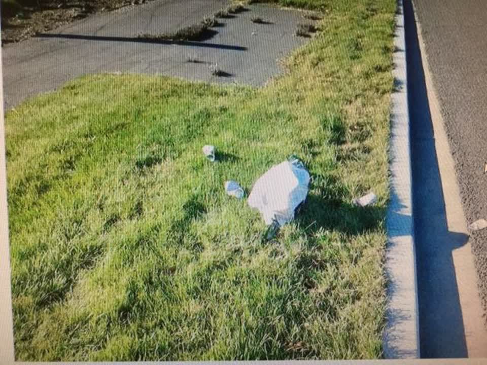 The photograph attached to this rubbish/recycling report