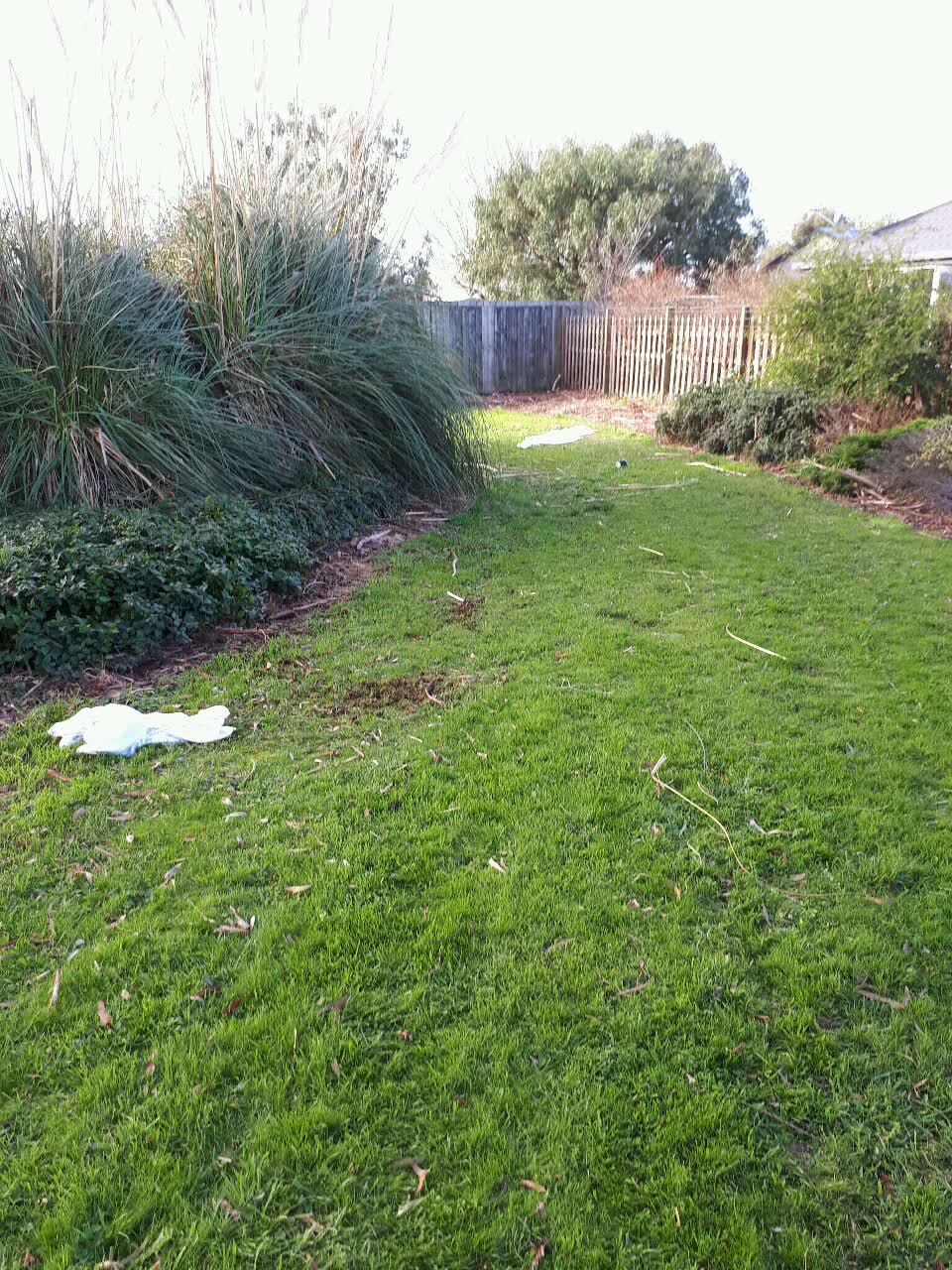 The photograph attached to this parks report