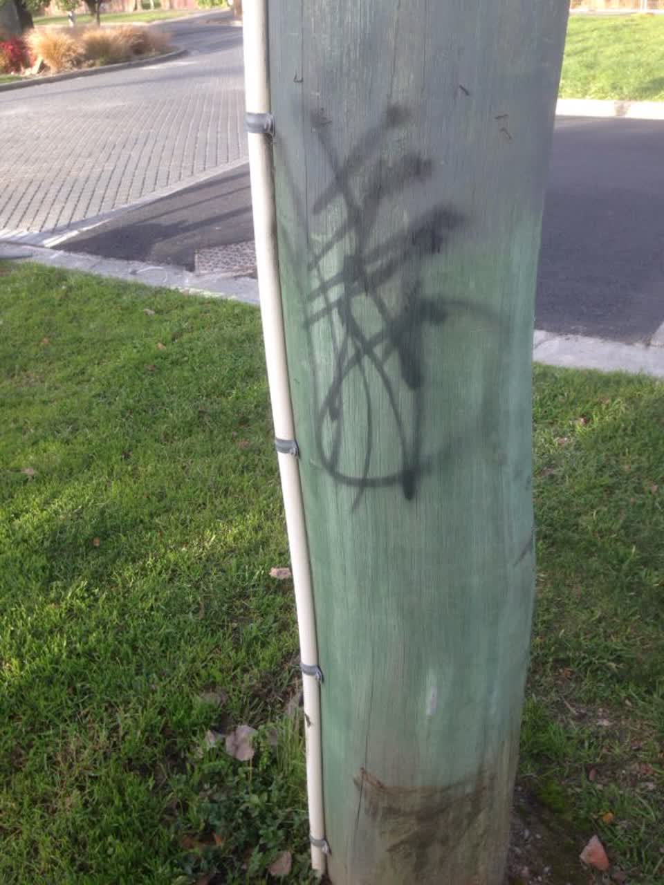 The photograph attached to this graffiti report