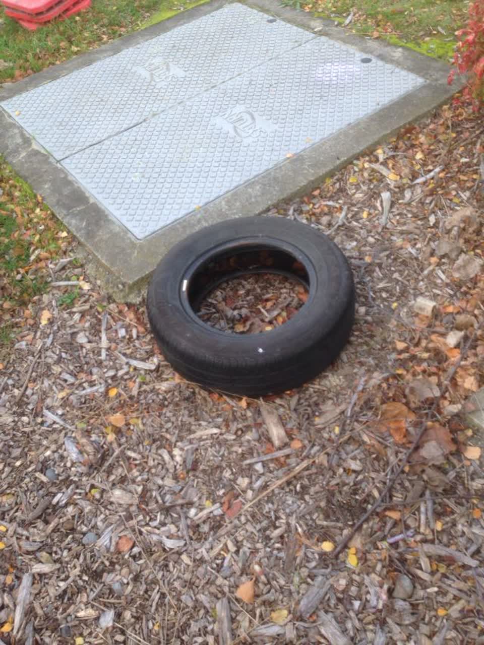 The photograph attached to this rubbish/recycling report