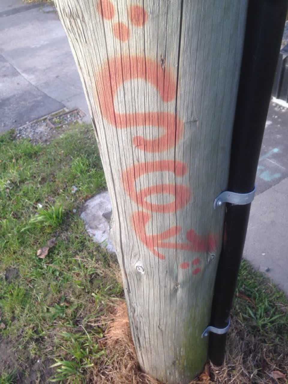 The photograph attached to this graffiti report