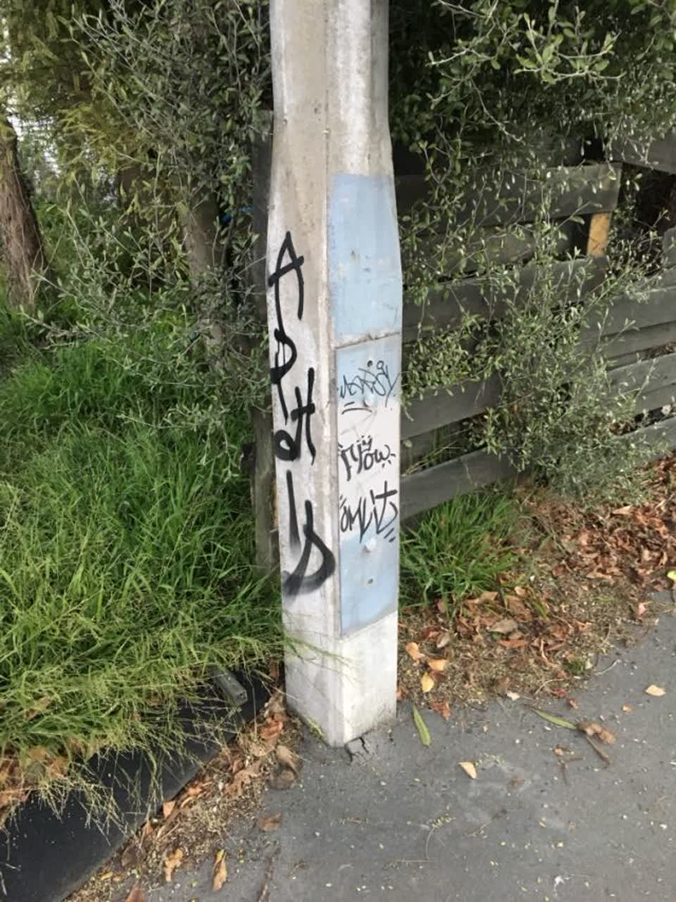 The photograph attached to this graffiti report