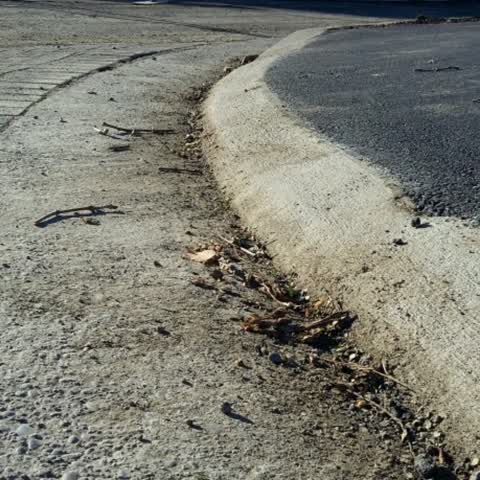 Roading/Streets, a report photo