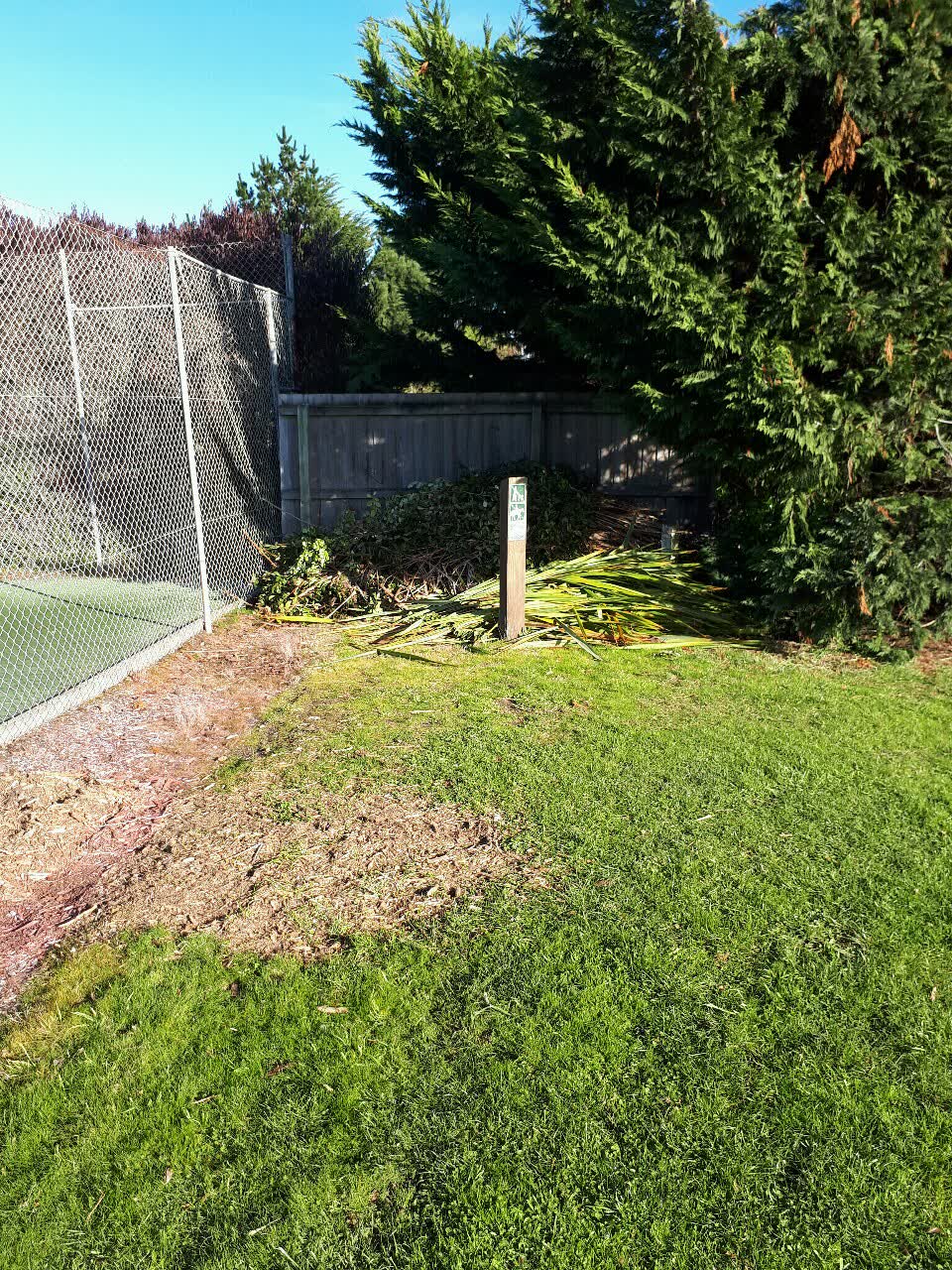 The photograph attached to this parks report
