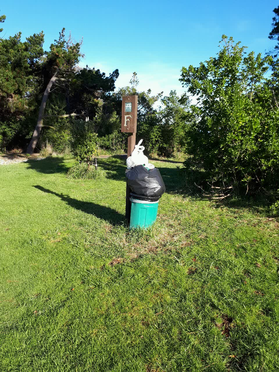 The photograph attached to this rubbish/recycling report