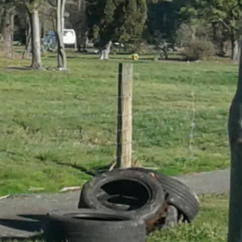Rubbish/Recycling, a report photo