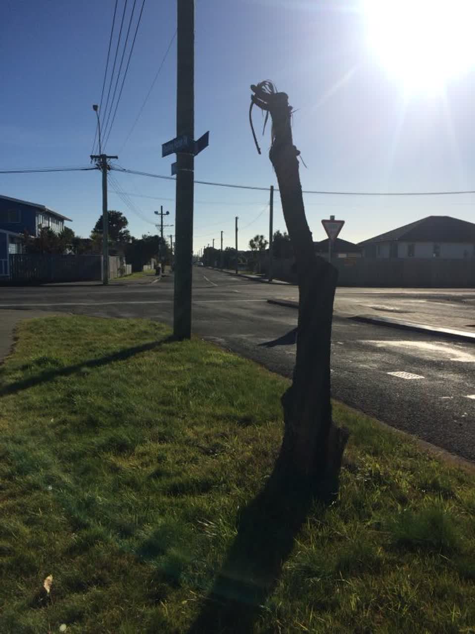 The photograph attached to this roading/streets report