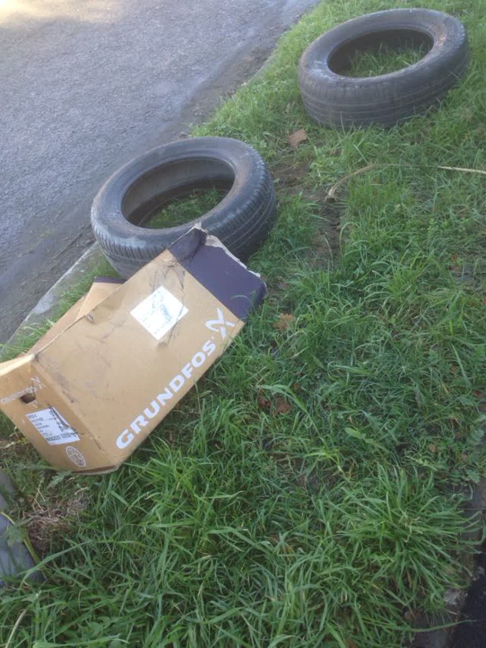 The photograph attached to this rubbish/recycling report