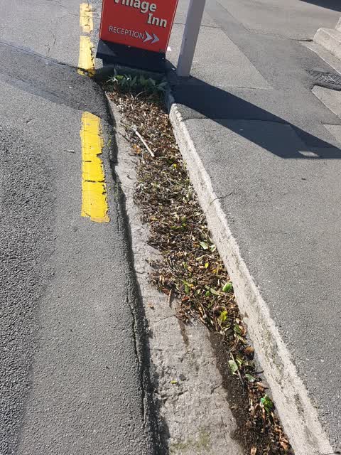 Roading/Streets, a report photo