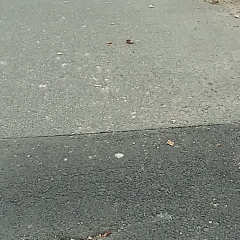 Roading/Streets, a report photo