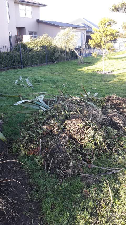 Parks, a report photo