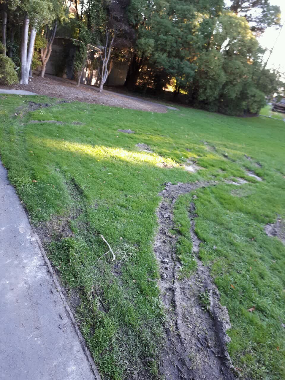 The photograph attached to this parks report