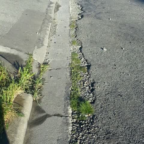 Roading/Streets, a report photo