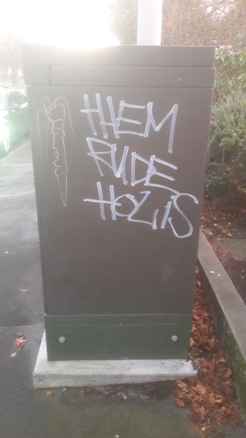 The photograph attached to this graffiti report