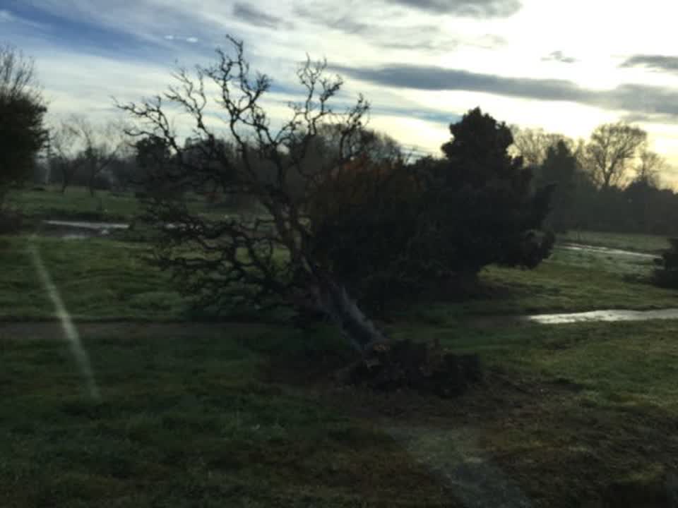 The photograph attached to this parks report