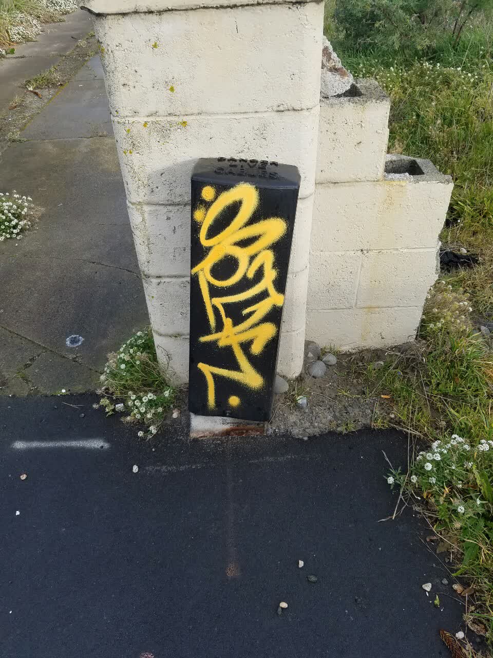 The photograph attached to this graffiti report
