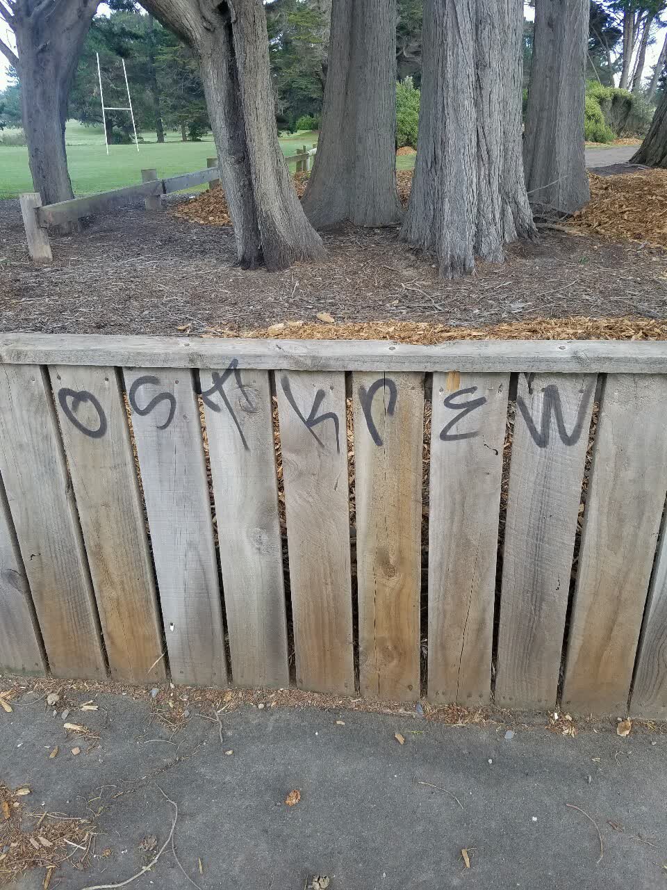 The photograph attached to this graffiti report
