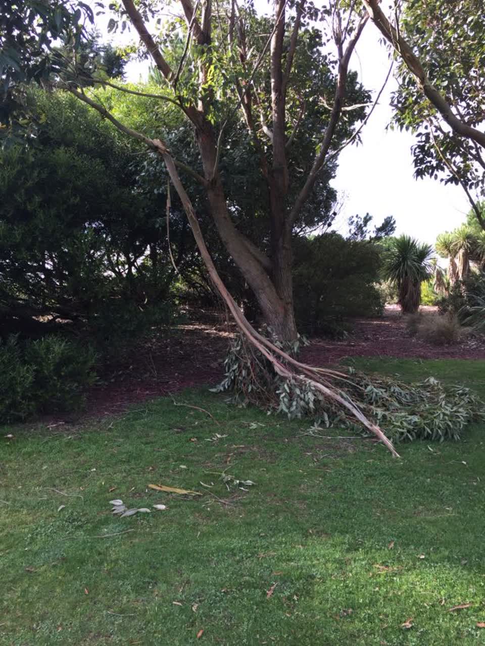 The photograph attached to this parks report