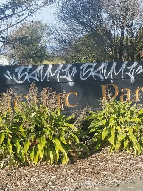 Graffiti, a report photo