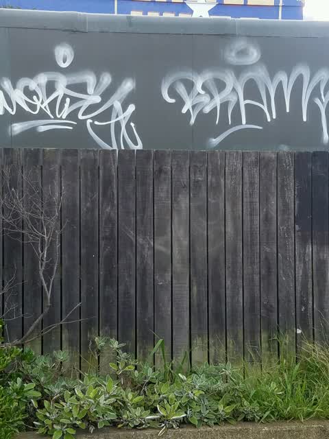 Graffiti — a report photo