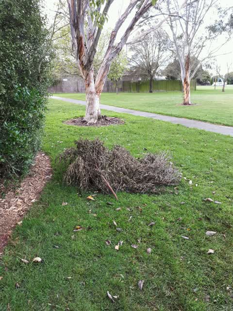 Parks, a report photo