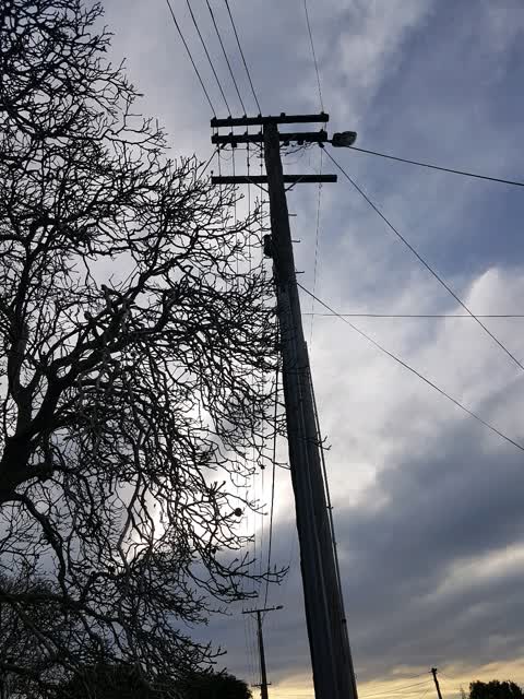 Roading/Streets, a report photo