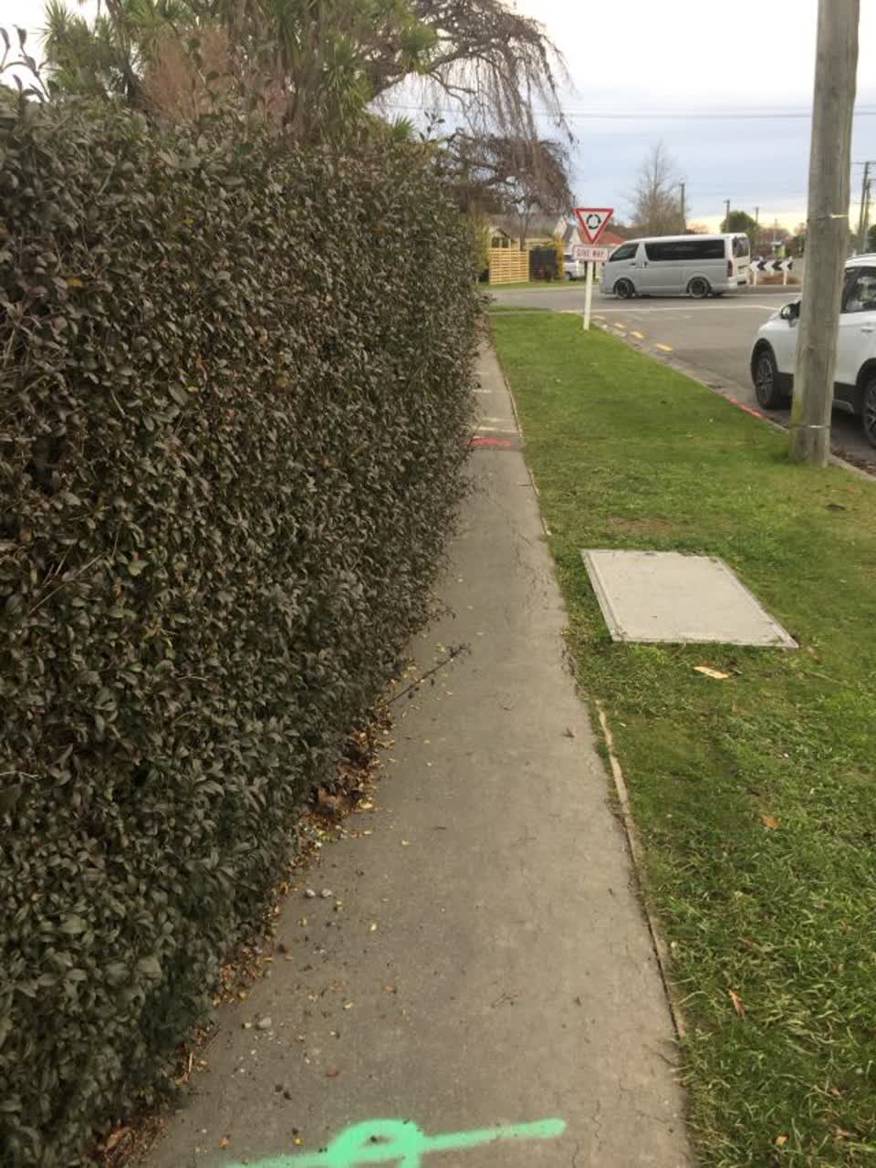 The photograph attached to this roading/streets report