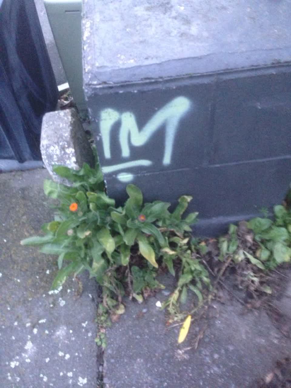The photograph attached to this graffiti report