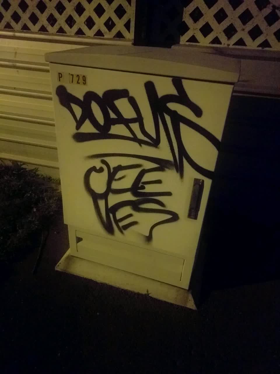 The photograph attached to this graffiti report