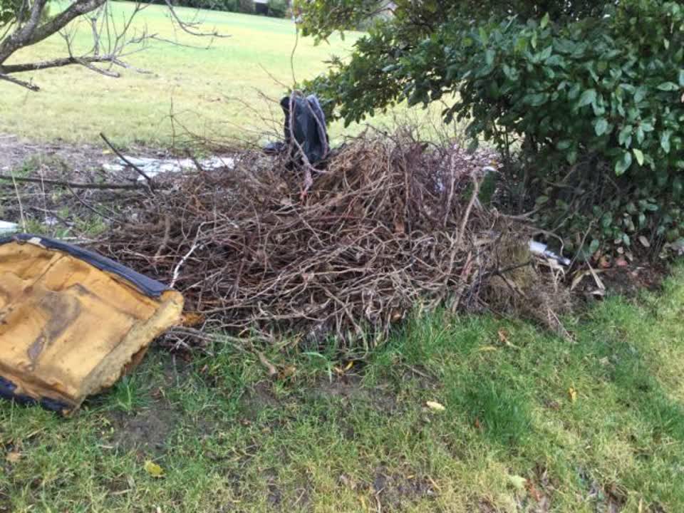 The photograph attached to this rubbish/recycling report