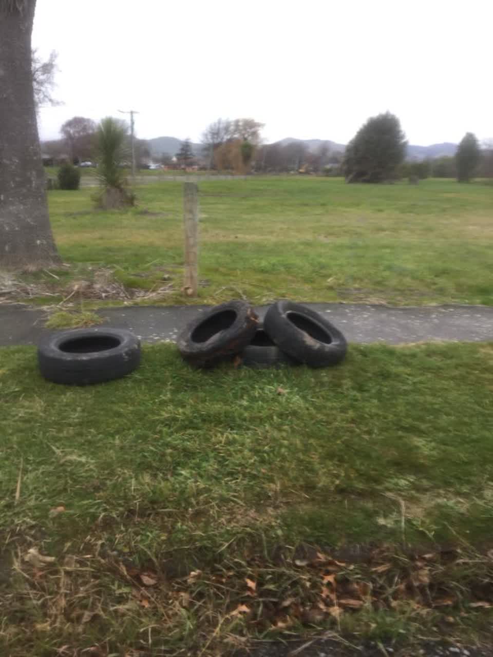 The photograph attached to this rubbish/recycling report