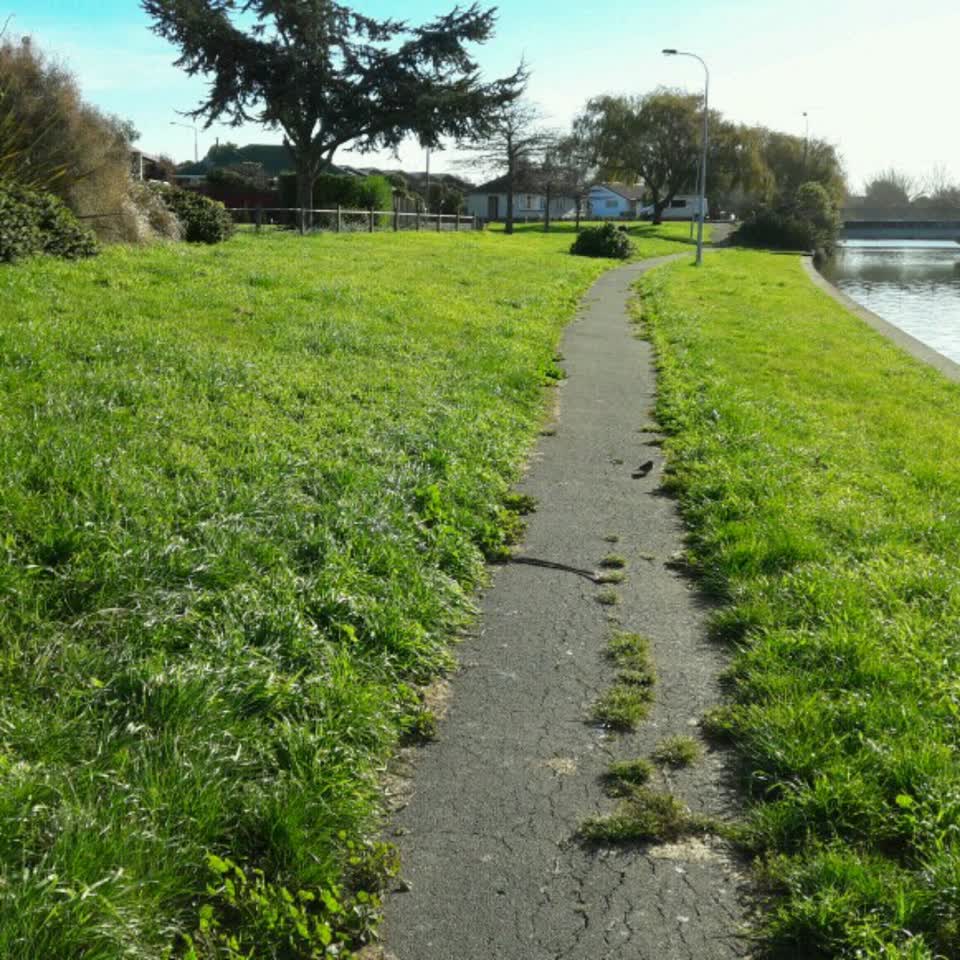 The photograph attached to this parks report