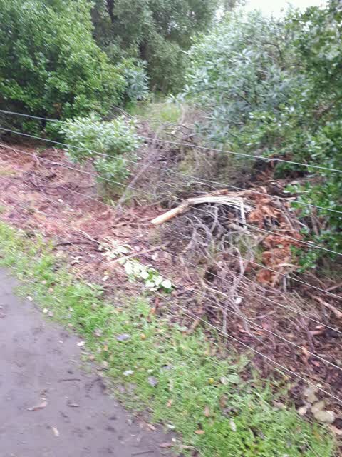 Parks, a report photo