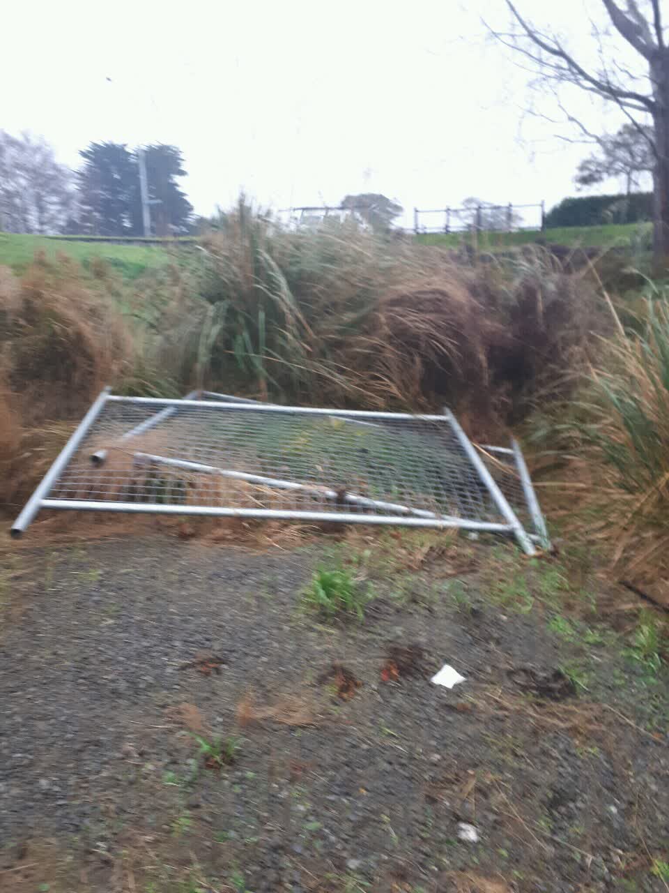 The photograph attached to this parks report