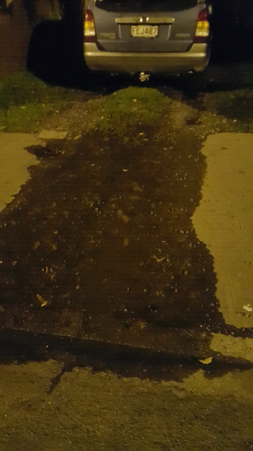 The photograph attached to this water supply report