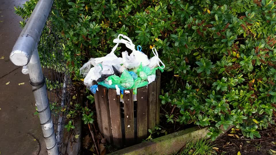 The photograph attached to this rubbish/recycling report