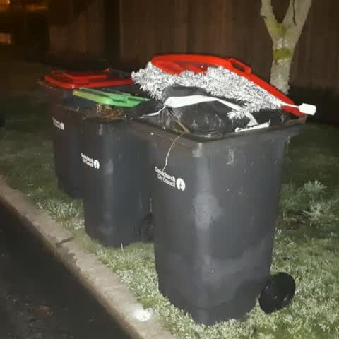 Rubbish/Recycling, a report photo
