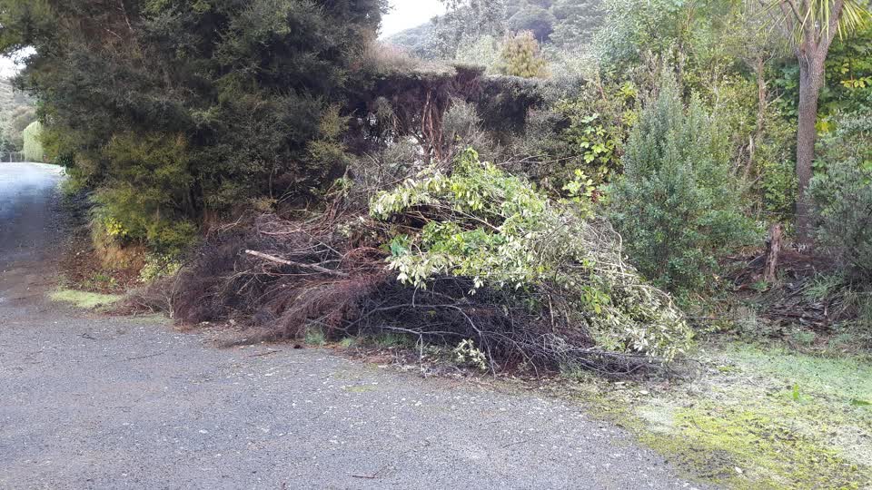 The photograph attached to this parks report