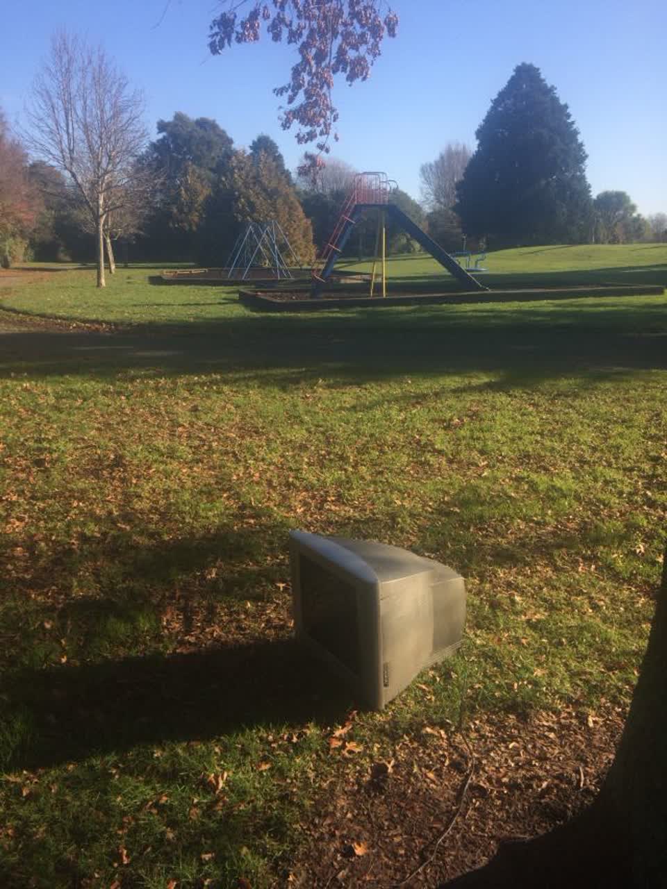 The photograph attached to this parks report