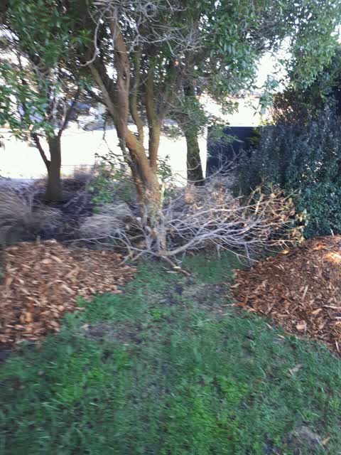Parks, a report photo