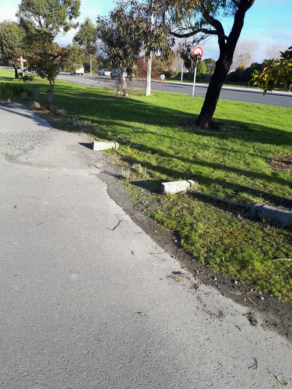 The photograph attached to this parks report
