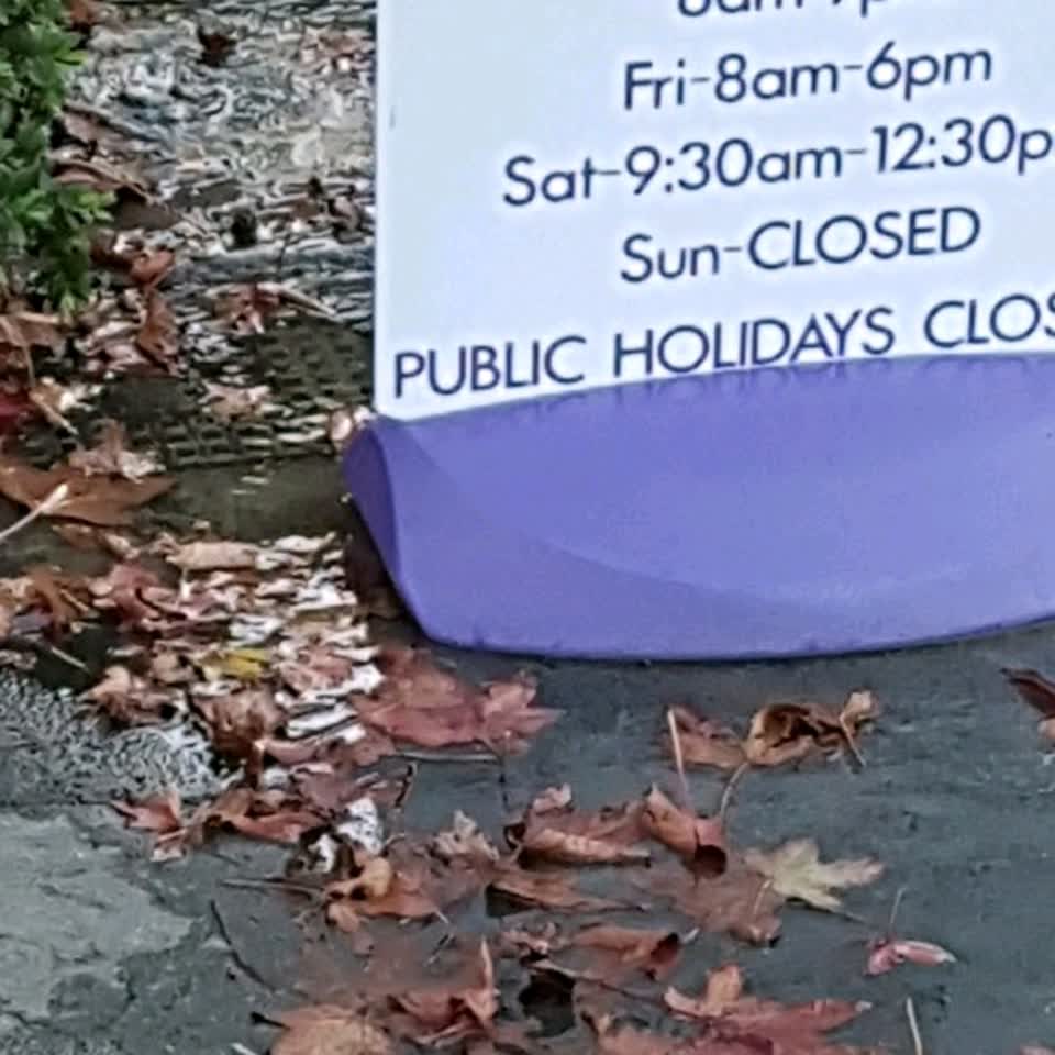 The photograph attached to this water supply report