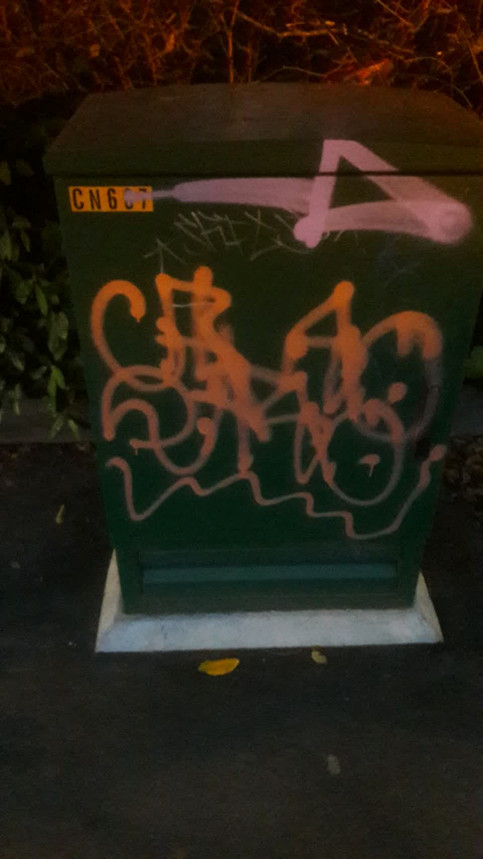 The photograph attached to this graffiti report