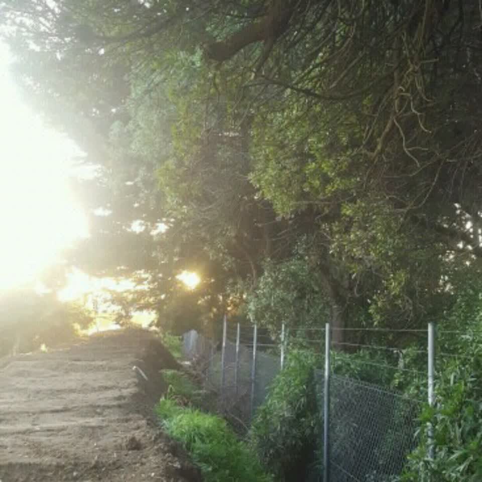 The photograph attached to this parks report