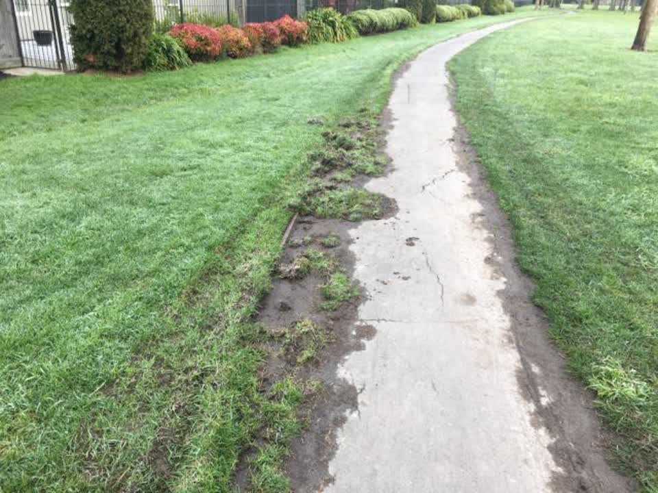 The photograph attached to this parks report